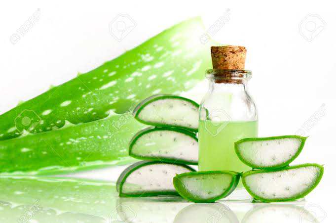Aloe Vera Products